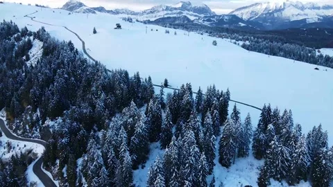 Drone flying over the mountains in landscape with lots of snow and trees Stock Footage 142876579