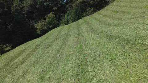 Drone Flying Over Mowed Grass in Green Countryside Landscape Stock Footage 314347345