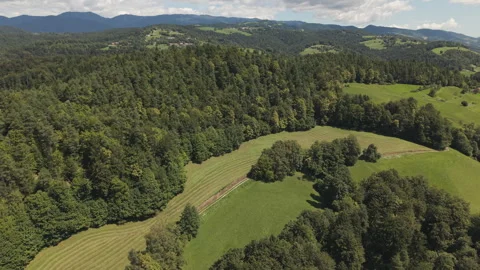 Drone Flying Over Mowed Grass in Green Countryside Landscape Stock Footage 314364764