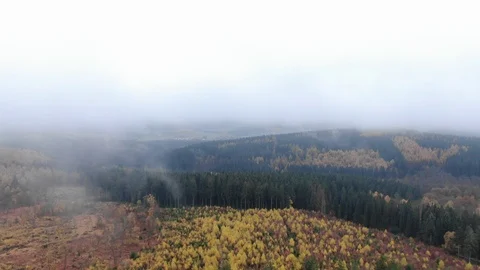 Drone flying over a mystical and foggy forest Stock Footage