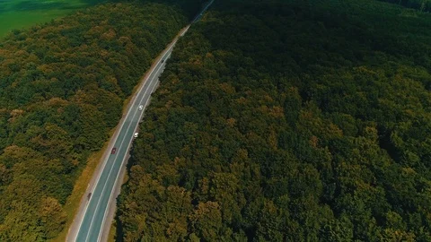 Drone flying over old forest road with cars moving, green trees of dense woods Stock Footage 124926941