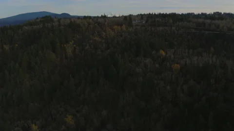Drone flying over the Oregon forest revealing Mt.Hood in sunset Stock Footage 145824377
