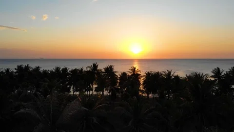 Drone flying over palm trees field in front of a sunset, Koh Lanta Stock Footage 124017468