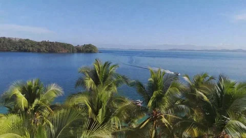 Drone Flying Over Palm Trees Toward Ocean with Motorboats Stock Footage 320537933