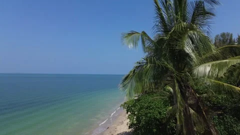 Drone Flying Over Palm Trees Revealing Remote Tropical Paradise Beach on Koh Stock-Footage 342133352