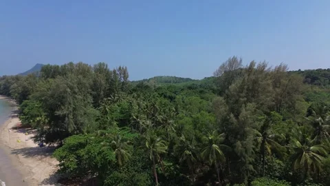 Drone Flying Over Palm Trees Revealing Remote Tropical Paradise Beach on Koh Stockbeeldmateriaal 342147517