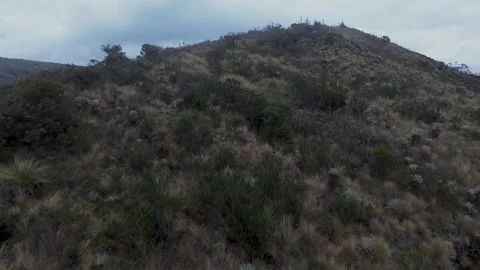 Drone Flying Over Paramo Moor Vegetation Stock Footage 323143287