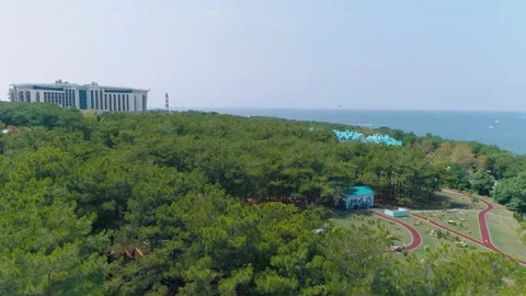 Drone Flying over Park Territory Of Southern Coastal City. Rest. Vacation. Sky Video stock 164635403