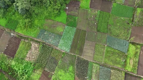 Drone Flying Over Patchwork Vegetable Fields on Zunil Volcano Stock Footage 343579166