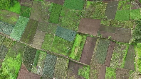 Drone Flying Over Patchwork Vegetable Farms Near Zunil Volcano Stock Footage 343579232