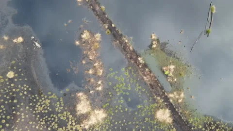 Drone Flying Over Peat Bog, 4k 動画素材 219141174