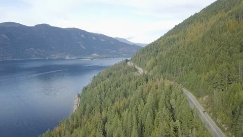 Drone flying over a pin forest Stock Footage 103434819
