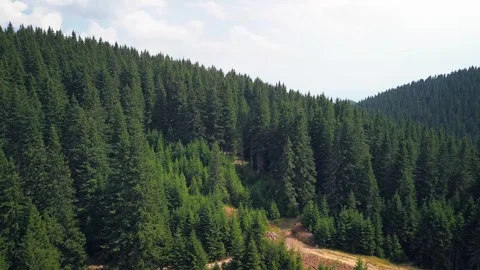 Drone flying over pine forest and revealing mountain lake Stock Footage 251787149