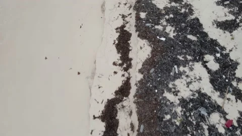 Drone flying over a polluted and littered beach on a Caribbean beach Stock Footage 151097599