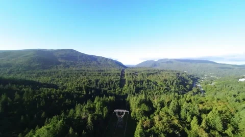 Drone Flying Over Power Lines through a Forest (Color Graded) Stock Footage 246950171