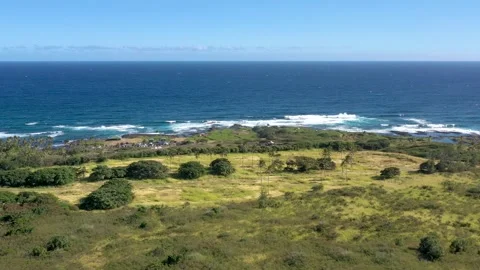 Drone Flying Over Punalu'u Beach Big Island Hawaii with Rugged Coastline 스톡 동영상 328387208