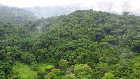 Drone flying over rain forest in Brazil 스톡 동영상 255837060