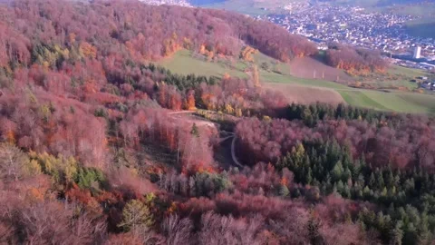 Drone Flying over red brown forest in Switzerland. Video stock 149073653