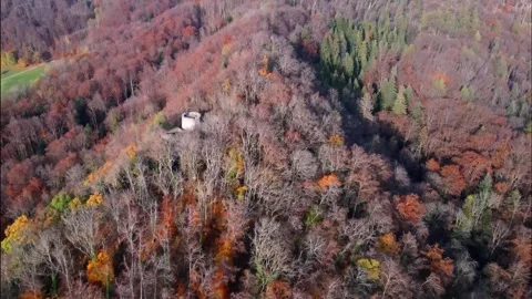 Drone Flying over red forest - Bischofstein Castle in Switzerland. Video stock 149073717