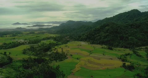 Drone flying over rice fields with fog drifting across tropical mountain valley Video stock 333614340