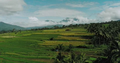 Drone flying over rice fields and cliff with fog covering mountain landscape 스톡 동영상 333615547