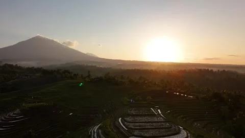 Drone flying over ricefields at sunrise with a vulcano in the background in 4k Stock Footage 345718249