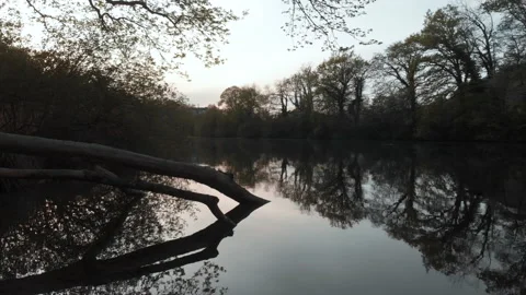 Drone flying over river and reveals industry behind the trees Stock Footage 147462355