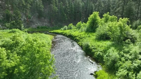 Drone Flying Over River In The Forest Vidéo 345047917