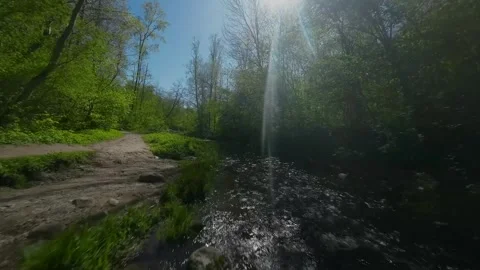 Drone flying over river in summer on late spring forest Video stock 243630229