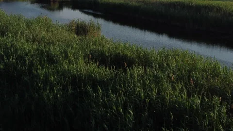 Drone flying over the river at sunset Stock Footage 255909033