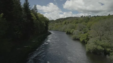 Drone Flying Over a River Through Lush Trees in Brittany, France Stock Footage 303015608