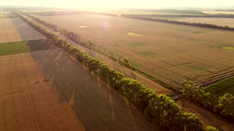 Drone flying over road between wheat fields during dawn sunset. Stock Footage 157975756