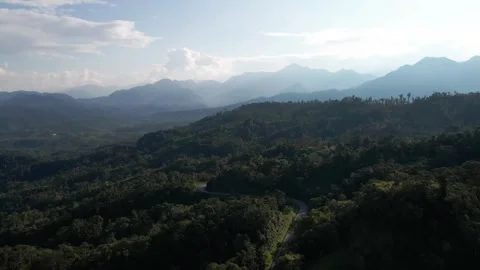 Drone Flying Over Road Through Lush Amazon Rainforest Stock Footage 343421280