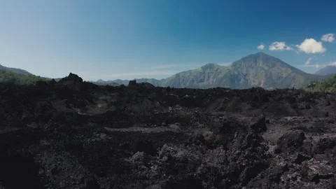 Drone flying over rocks of petrified volcanic lava and green exotic plants Stock Footage 252389349