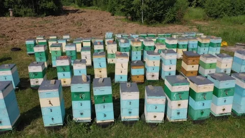 Drone flying over rows of beehives Stock Footage 327732176