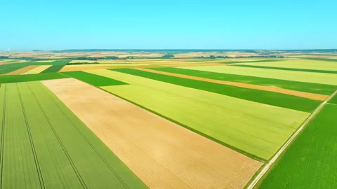 Drone flying over a rural path through neatly arranged farmland 動画素材 315504994