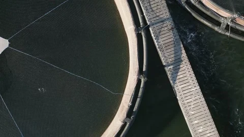 Drone flying over the Salmon fish farm in the river aerial view Video stock 229426173