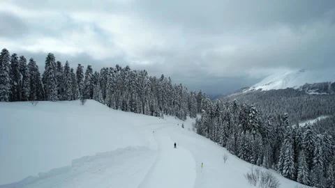 The drone is flying over a ski slope between snow-covered tall fir trees. Skiers Stock Footage 256830438