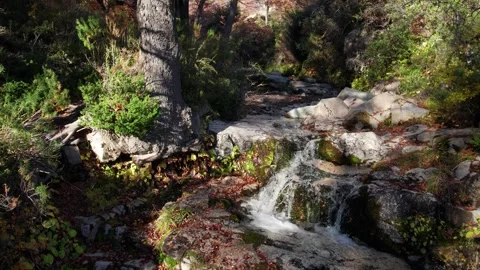 A drone flying over a small creek with a little water fall in Patagonia Stock Footage 248986838