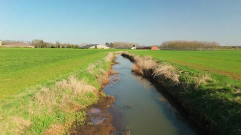 Drone Flying Over Small Creek with Farm in Background in Flanders, Belgium Stock Footage 306422388