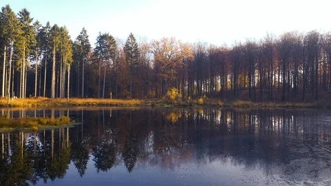Drone flying over small forest lake in beautiful golden autumn sunlight, dron Stock Footage 128284928