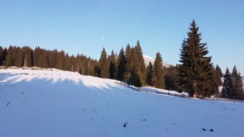 Drone Flying Over Snow-Covered Village Landscape Video stock 224772904