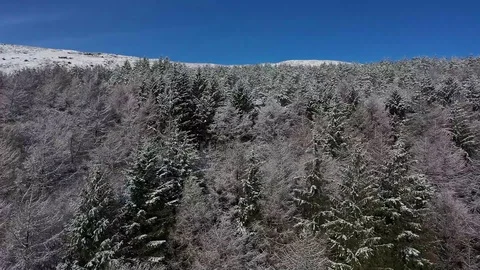 Drone Flying Over Snowtip Trees - Saddleworth Stock Footage 104819777