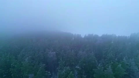 Drone flying over the snowy cloudy forest Stock Footage 230163654
