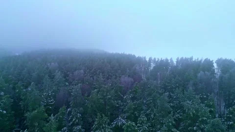 Drone flying over the snowy cloudy forest Stock Footage 230163920