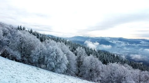 Drone flying over snowy forest trees Stock Footage 84474011
