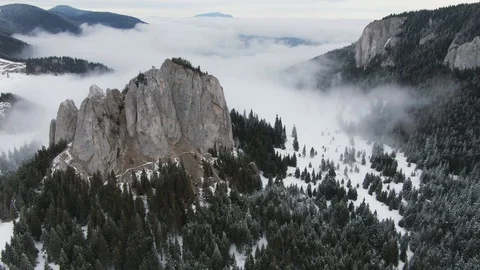 Drone flying over snowy pine forest reaching a nab, cliff Stock Footage 126904056