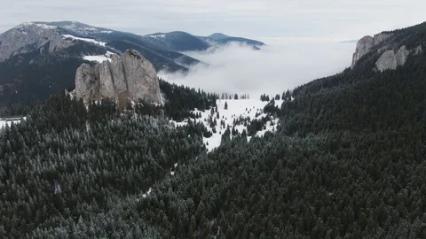 Drone flying over snowy pine forest reaching a nab, cliff Stock Footage 126904139