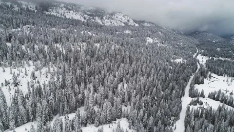 Drone flying over snowy pine trees 4k 動画素材 139373777