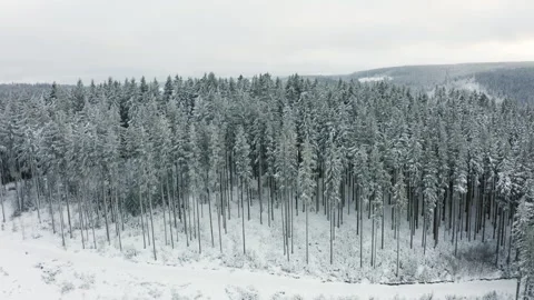 Drone flying over snowy pine forest canopy in winter landscape Stock-Footage 332007836